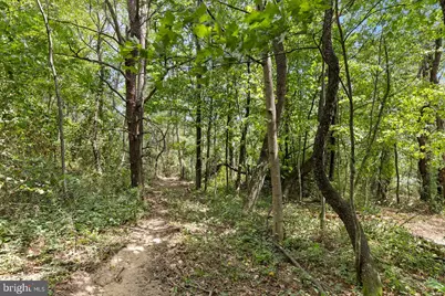 Ridge Hollow Road, Edinburg, VA 22824 - Photo 19