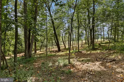 Ridge Hollow Road, Edinburg, VA 22824 - Photo 21