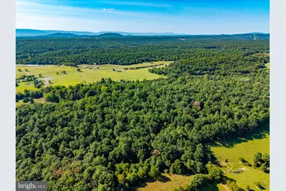 Alum Springs Rd. Parcel A, Edinburg, VA 22824 - Photo 17