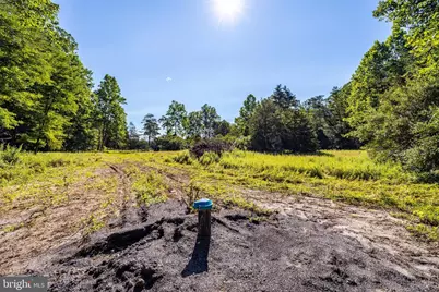 Alum Springs Rd. Parcel A, Edinburg, VA 22824 - Photo 7