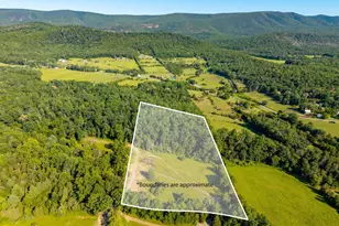 Alum Springs Rd Parcel B, Edinburg, VA 22824 - Photo 1