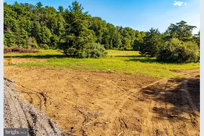 Alum Springs Rd. Parcel B, Edinburg, VA 22824 - Photo 5