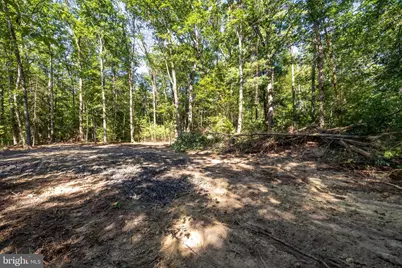 Alum Springs Rd. Parcel B, Edinburg, VA 22824 - Photo 11