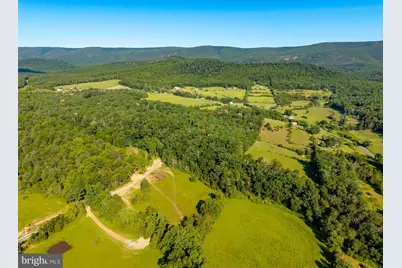 Alum Springs Rd. Parcel B, Edinburg, VA 22824 - Photo 13