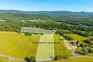 Alum Springs Rd Parcel F, Edinburg, VA 22824 - Photo 1