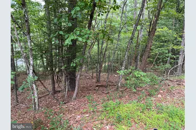 0 Fawn Drive, Basye, VA 22810 - Photo 1