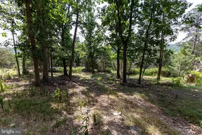 0 Alum Springs Road, Basye, VA 22810 - Photo 19
