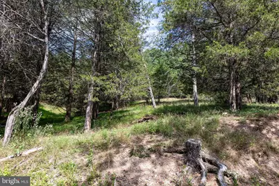 0 Alum Springs Road, Basye, VA 22810 - Photo 21