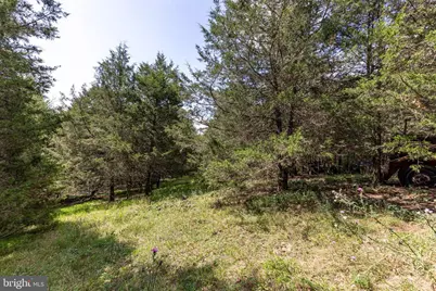 0 Alum Springs Road, Basye, VA 22810 - Photo 17