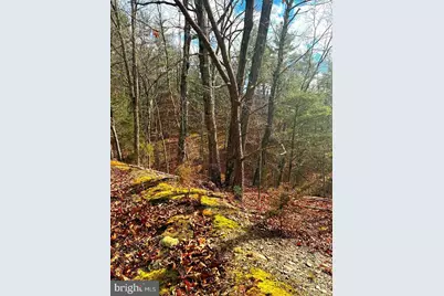 0 King Street, Basye, VA 22810 - Photo 3