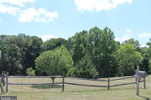 365 Hillcrest Rd, Edinburg, VA 22824 - Photo 39