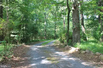 365 Hillcrest Road, Edinburg, VA 22824 - Photo 29