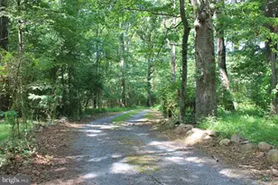 365 Hillcrest Rd, Edinburg, VA 22824 - Photo 29