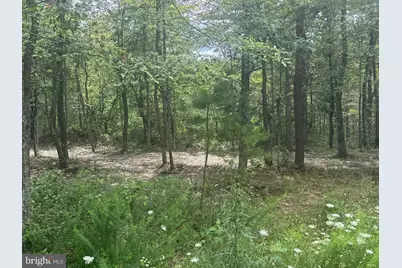 0 Mount Sinai Point, Fort Valley, VA 22652 - Photo 11