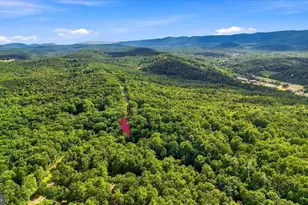 7823 Supinlick Ridge Rd, Mount Jackson, VA 22842 - Photo 45