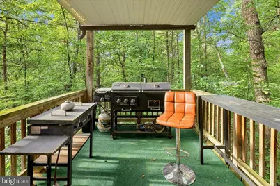 7823 Supinlick Ridge Road, Mount Jackson, VA 22842 - Photo 31