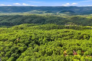 7823 Supinlick Ridge Rd, Mount Jackson, VA 22842 - Photo 49