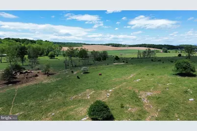 4080 Flat Rock Rd, Quicksburg, VA 22847 - Photo 19