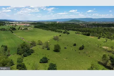 4080 Flat Rock Rd, Quicksburg, VA 22847 - Photo 15