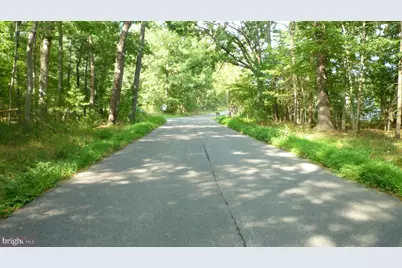 Alum Springs Rd., Edinburg, VA 22824 - Photo 3