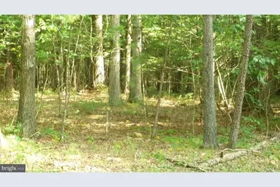 Alum Springs Rd., Edinburg, VA 22824 - Photo 1