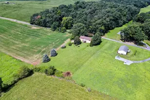 4810 Flat Rock Rd, Quicksburg, VA 22847 - Photo 69