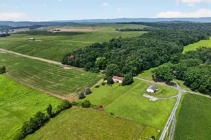 4810 Flat Rock Rd, Quicksburg, VA 22847 - Photo 75
