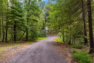 2612 Coal Mine Rd, Strasburg, VA 22657 - Photo 67