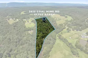 2612 Coal Mine Rd, Strasburg, VA 22657 - Photo 3