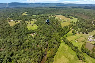 2612 Coal Mine Rd, Strasburg, VA 22657 - Photo 85