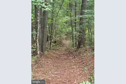 574 Mountain Slope Ln., Fort Valley, VA 22652 - Photo 3