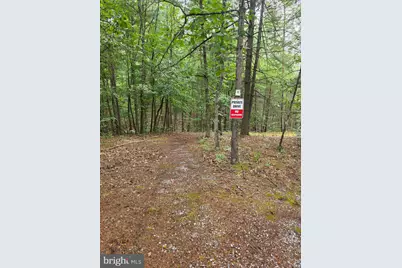 574 Mountain Slope Ln., Fort Valley, VA 22652 - Photo 17