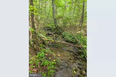 574 Mountain Slope Ln., Fort Valley, VA 22652 - Photo 9
