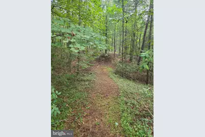 574 Mountain Slope Ln., Fort Valley, VA 22652 - Photo 5