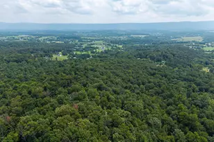 44 Wilkins Ln, Maurertown, VA 22644 - Photo 101