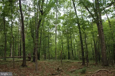 Habron Hollow Road, Fort Valley, VA 22652 - Photo 1