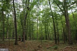 Habron Hollow Rd, Fort Valley, VA 22652 - Photo 1