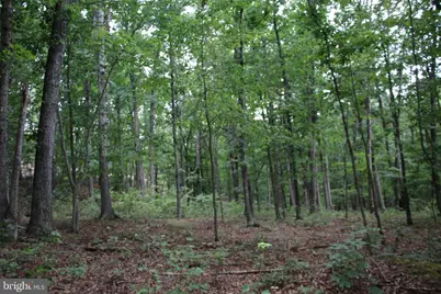 Habron Hollow Road, Fort Valley, VA 22652 - Photo 15