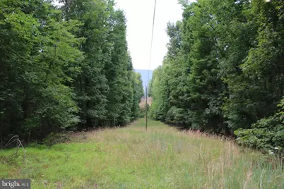 Habron Hollow Road, Fort Valley, VA 22652 - Photo 17