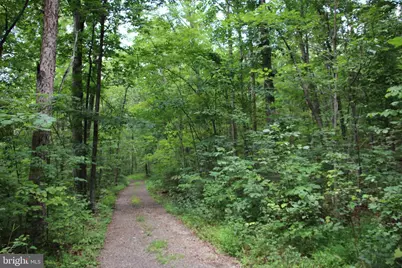 Habron Hollow Road, Fort Valley, VA 22652 - Photo 11