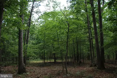 Habron Hollow Road, Fort Valley, VA 22652 - Photo 3