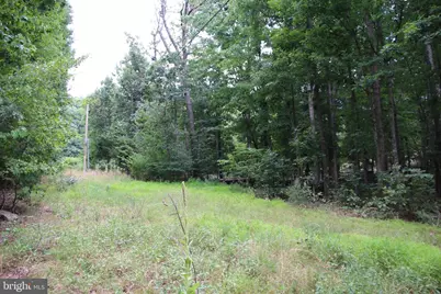 Habron Hollow Road, Fort Valley, VA 22652 - Photo 5