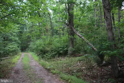 Habron Hollow Road, Fort Valley, VA 22652 - Photo 13