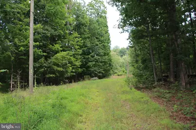 Habron Hollow Road, Fort Valley, VA 22652 - Photo 7