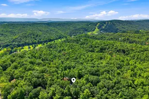 122 Forrest St, Basye, VA 22810 - Photo 55