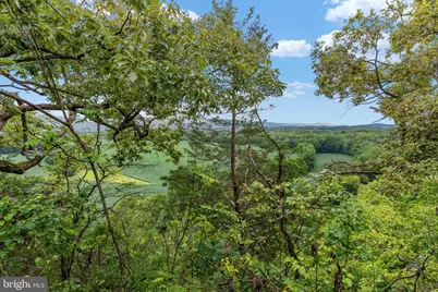 179 Quicksburg Mill Lane, Quicksburg, VA 22847 - Photo 123