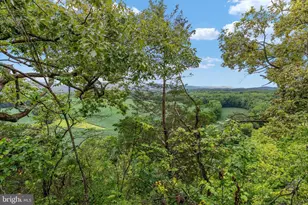179 Quicksburg Mill Ln, Quicksburg, VA 22847 - Photo 123