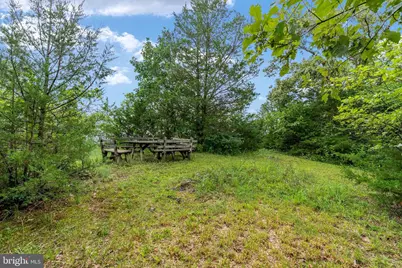 179 Quicksburg Mill Lane, Quicksburg, VA 22847 - Photo 119