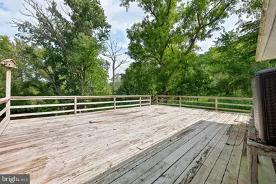 315 Indian Spring Trail, Maurertown, VA 22644 - Photo 25