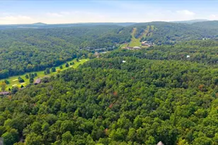 51 Forrest St, Basye, VA 22810 - Photo 59
